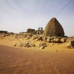 2026 - DESERTO, SAVANA E FORESTA