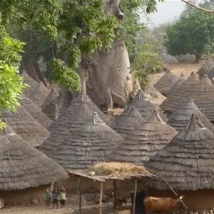 2026 - TRIBU' BASSARI E BEDIK